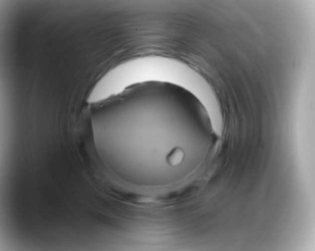 X0000088140425200706042013