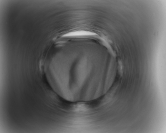 X0000088140428200706042013