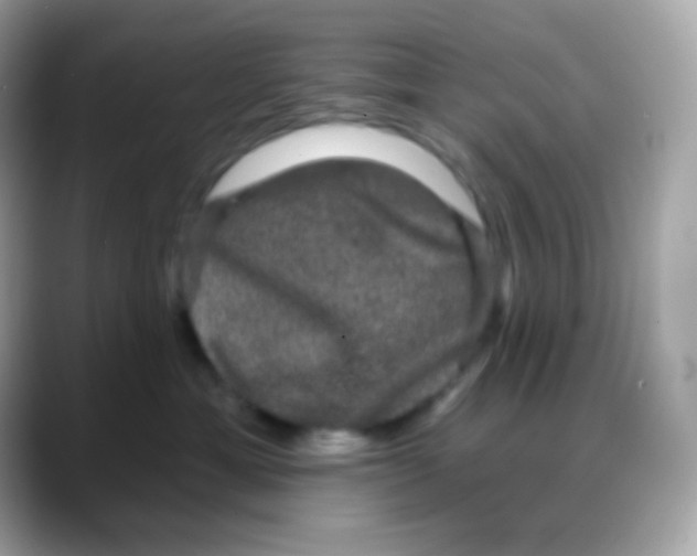 X0000088140429200706042013