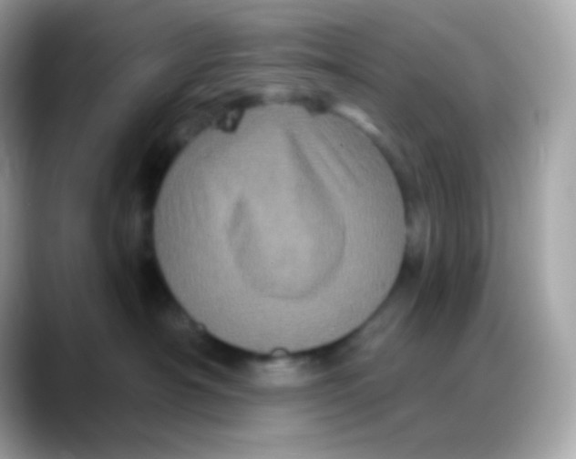 X0000088140430200706042013