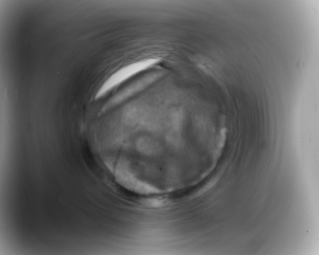 X0000088140432200706042013