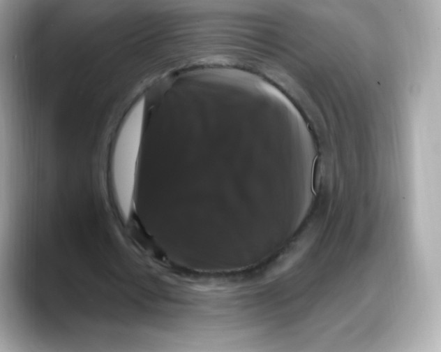 X0000088140434200706042012