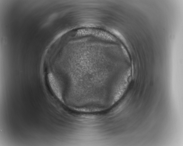 X0000088140435200706042012