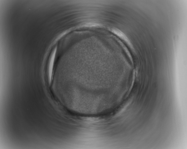 X0000088140436200706042012