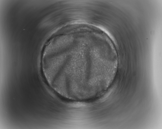 X0000088140437200706042012