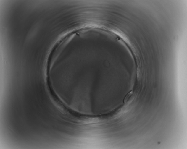 X0000088140438200706042012