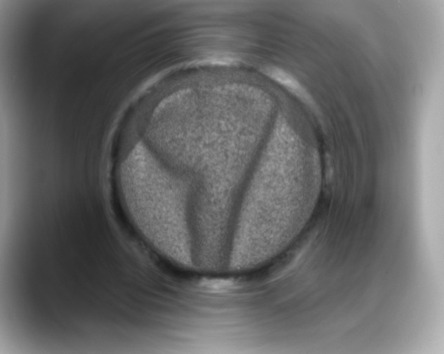 X0000088140440200706042012