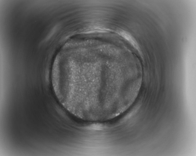 X0000088140441200706042012