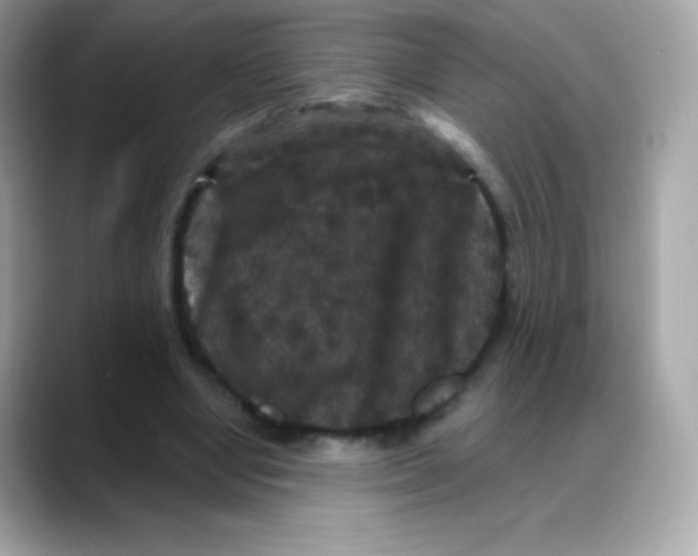 X0000088140442200706042012