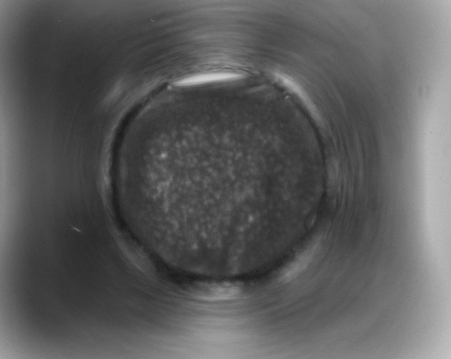 X0000088140443200706042012