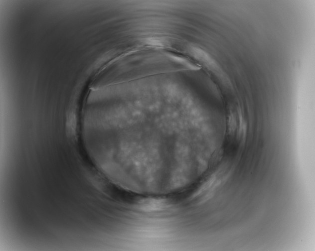 X0000088140444200706042012