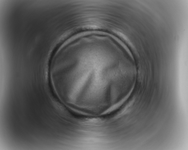 X0000088140446200706042012