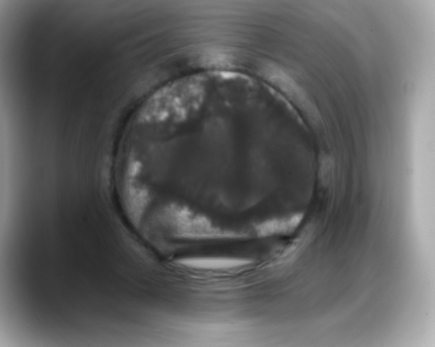 X0000088140449200706042012