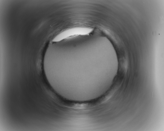 X0000088140450200706042012