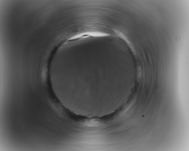 X0000088140451200706042012