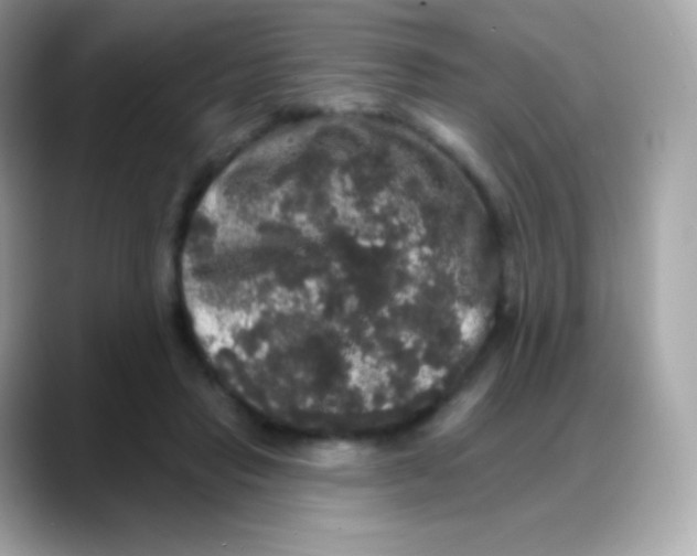 X0000088140453200706042012