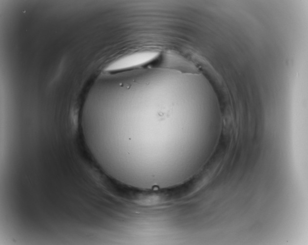 X0000088140454200706042012