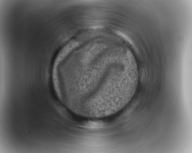 X0000088140455200706042012