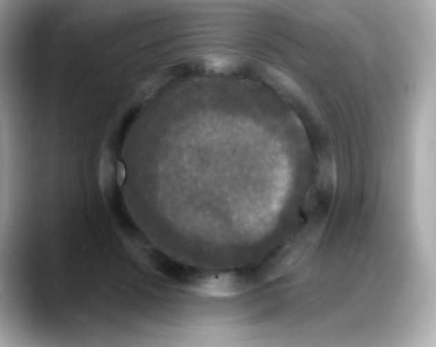 X0000088140456200706042012