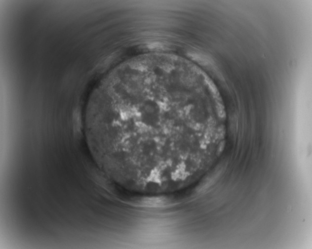 X0000088140457200706042012