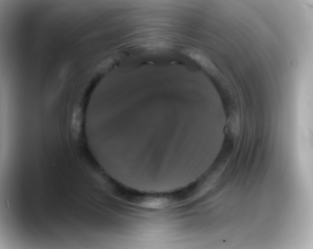 X0000088140458200706042012