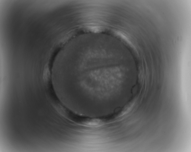 X0000088140459200706042012