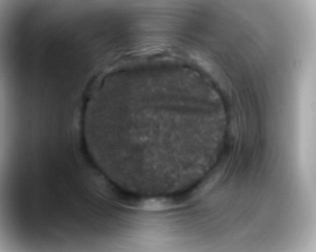 X0000088140461200706042012