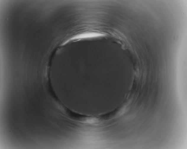 X0000088140462200706042012