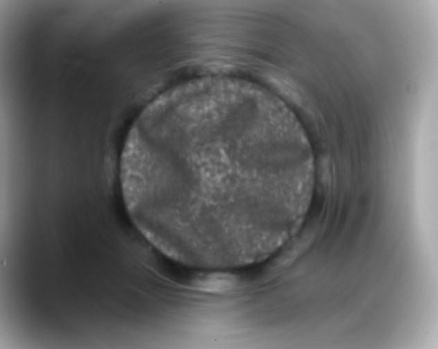 X0000088140463200706042012