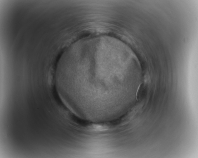 X0000088140464200706042012