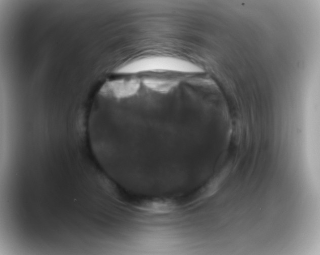 X0000088140466200706042012