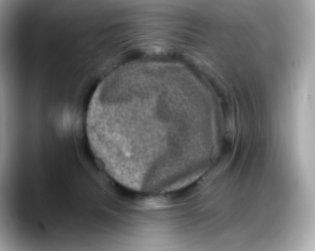 X0000088140468200706042012