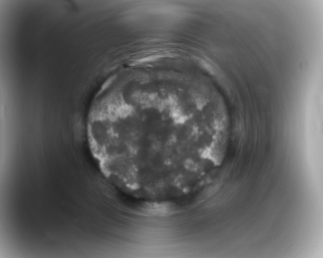 X0000088140469200706042012