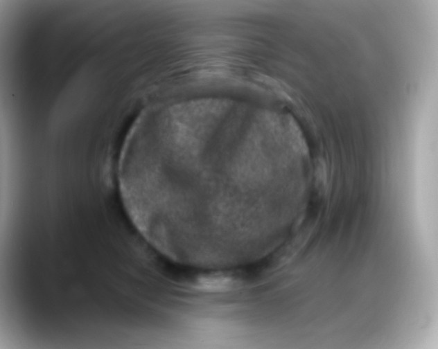 X0000088140470200706042012