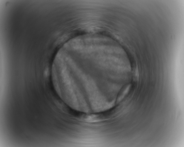 X0000088140472200706042012