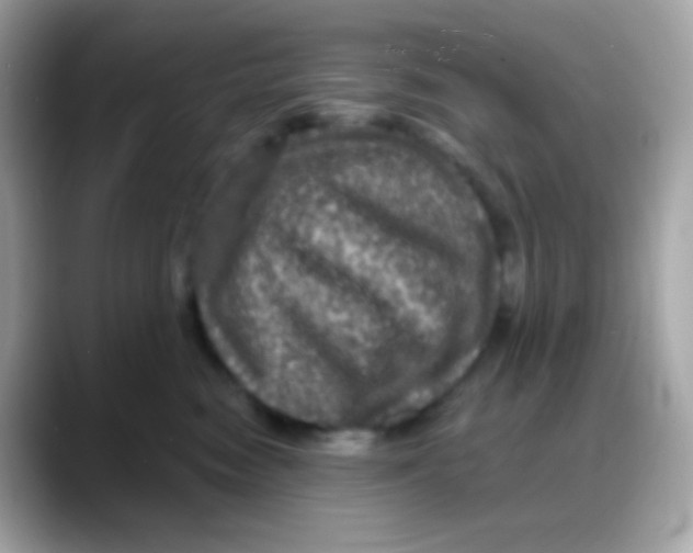 X0000088140474200706042012