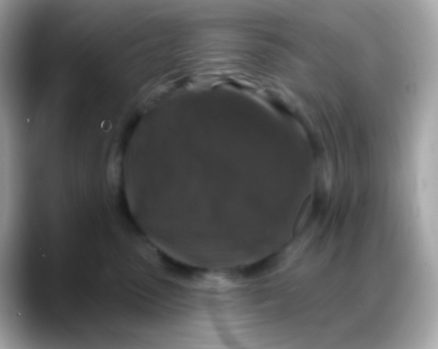 X0000088140475200706042012