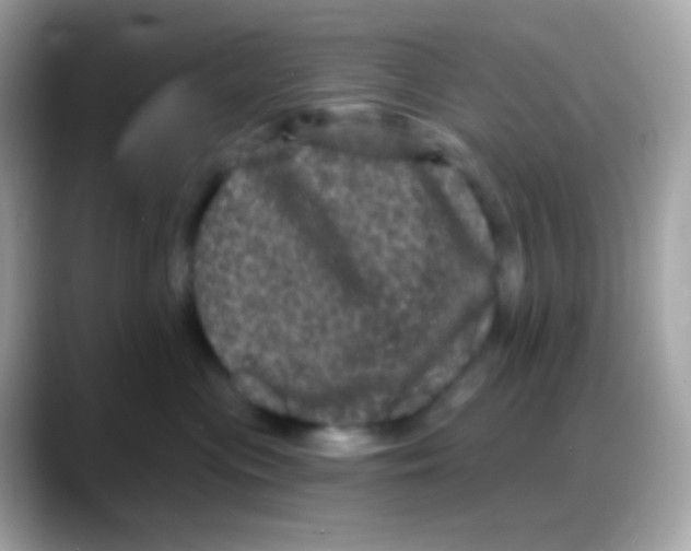 X0000088140477200706042012