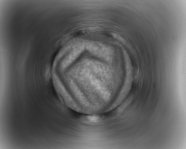 X0000088140478200706042012