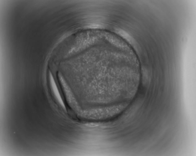 X0000088140482200706042012