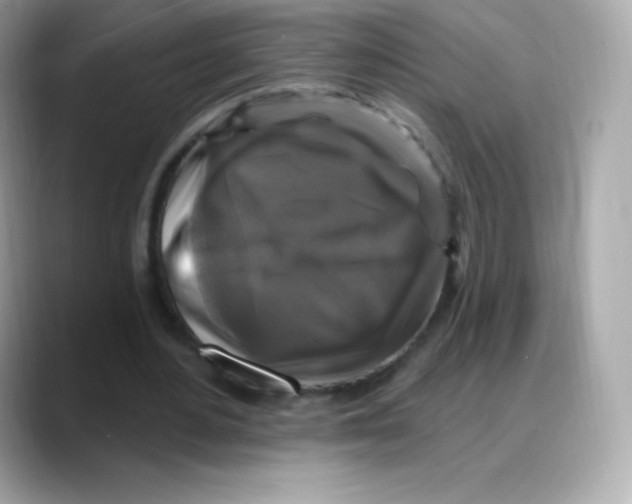 X0000088140484200706042012