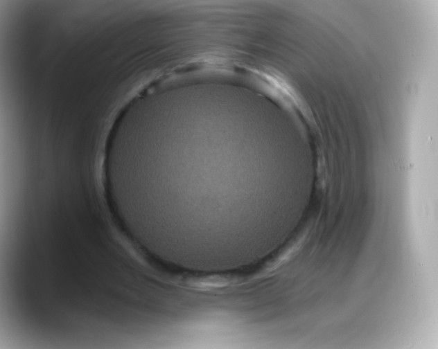 X0000088140485200706042012