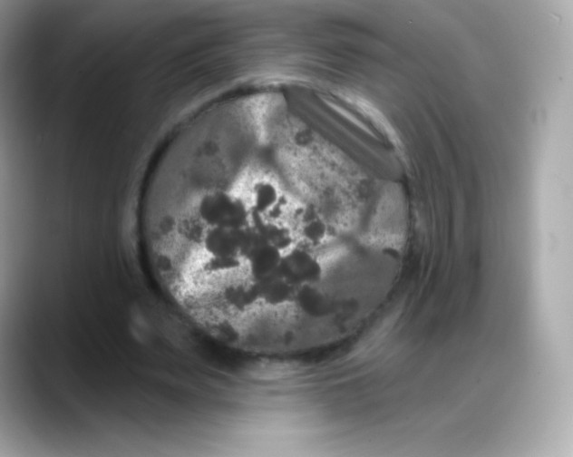 X0000088140487200706042012