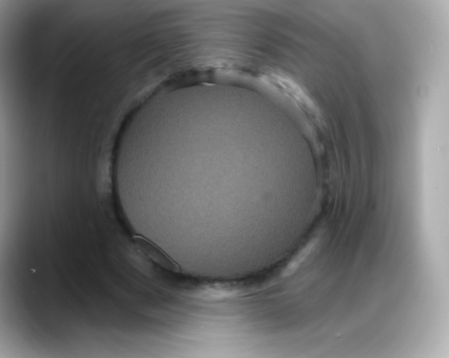 X0000088140489200706042012