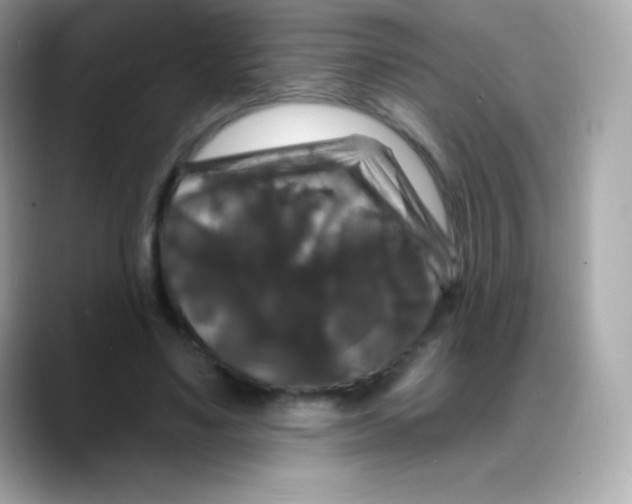 X0000088140491200706042012