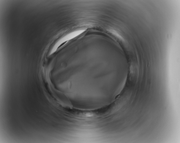 X0000088140492200706042012