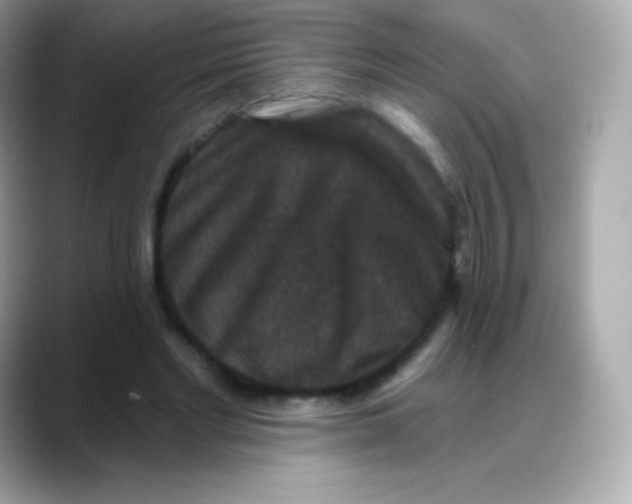 X0000088140493200706042012