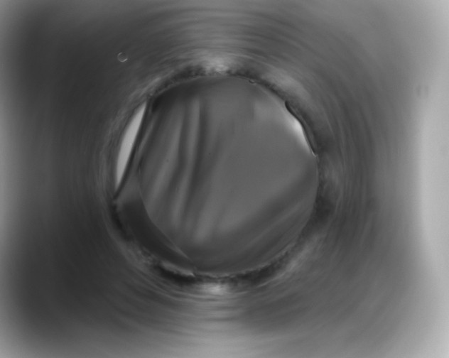 X0000088140496200706042012