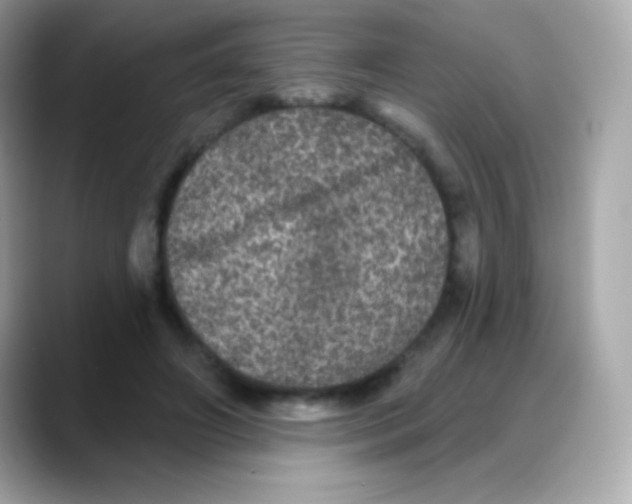 X0000088140498200706042012