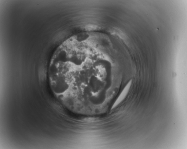 X0000088140499200706042012